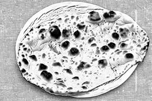 Stuffed Naan