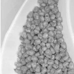 Corn Salt n Pepper
