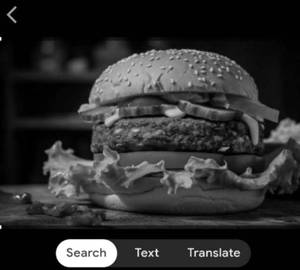 Viggie Patty Burger