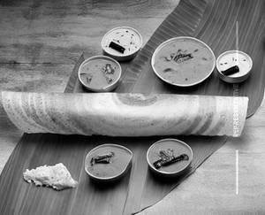 Cheese Onion Butter Masala Dosa
