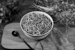Veg Hakka Noodlers