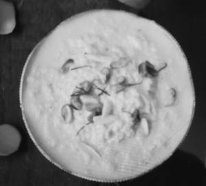 Special Dudher Lachcha