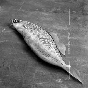 Anjal(Sea Fish)