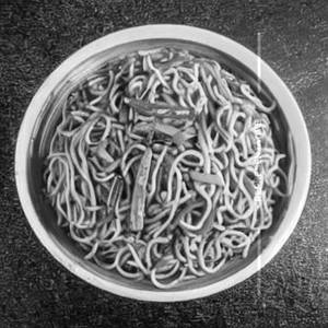 Non veg Triple Delight Noodles 