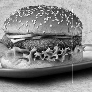 Crispy chicken burger                                                                              