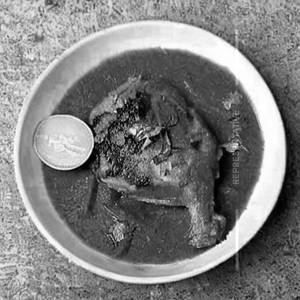 Chicken bhoona