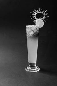 Virgin Mojito
