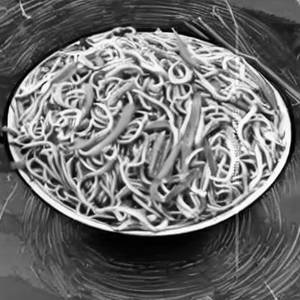 Veg Noodles [Triple]