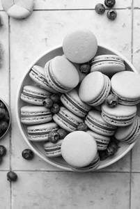 Blueberry Macaron
