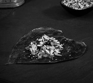 7 Seeds Paan