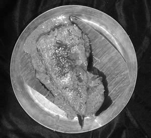 Chitol Peti(1pcs)