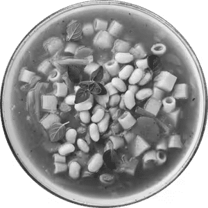 Minestrone soup