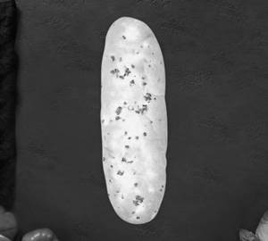 Garlic Bread (Also In Whole Wheat Brean