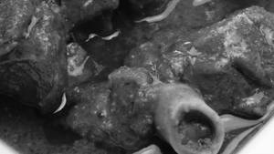 Mutton Rogan Josh