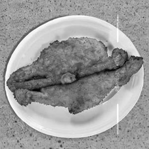 Fish Fry