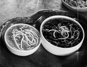 Manchow Soup [ Non Veg ] 