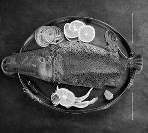 Apollo Fish [Boneless]