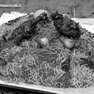Non Veg Only Biryani