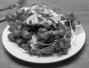 Gobi 65