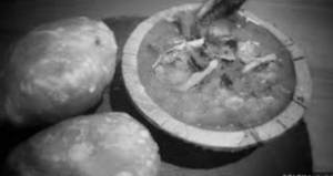 Kastha Kochuri With Aloo Sabzi