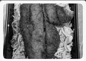 Mini Fish Fry Mandi