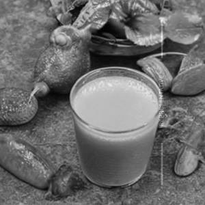 Mosambi Anar Juice 
