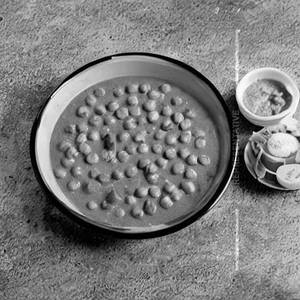 Green Peas Masala