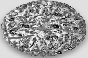 Gtc Special Tandoori Panner Pizza