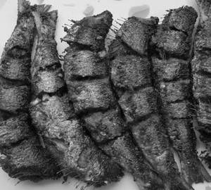 Sardine Fry