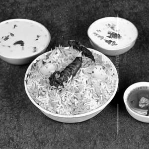 Basmati Biryani Rice
