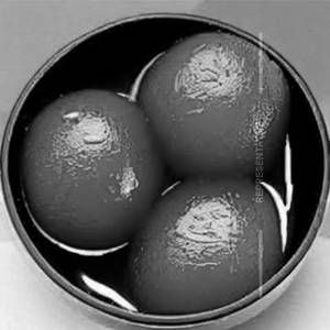 Gulab Jamun