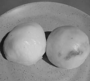 Kozhukkatta