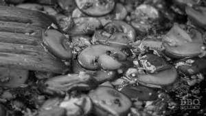 Hot Pepper Sauce Mushroom