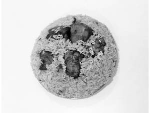 65 Biryani