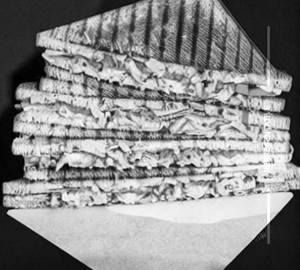 Tandoori paneer sandwich