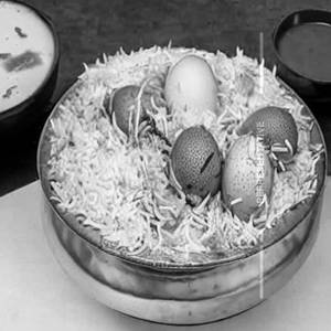 Egg biryani                                                                         