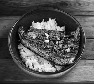 Unagi Don