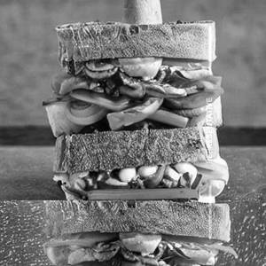 Veg Cheese Grilled Sanduich