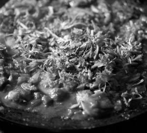 Tawa Mushroom