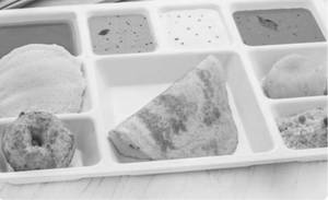 Combo Tiffin