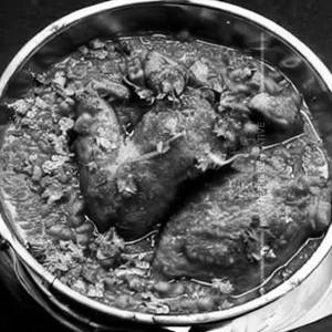 Chicken Varadi