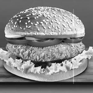 Classic double chicken burger