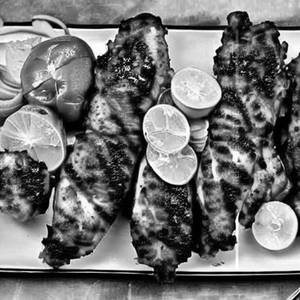 Mexican Grilled Chicken 