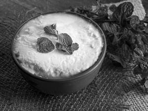 Plain Curd
