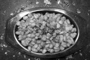 Crispy Corns
