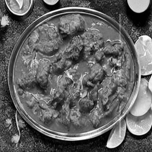 Chicken Maharani