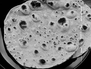 Khasta Roti