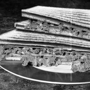 Non Veg Triple Decker Sandwich