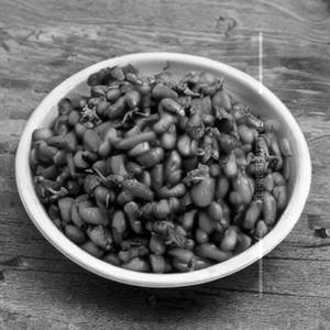 Veg Hot Bean Handles