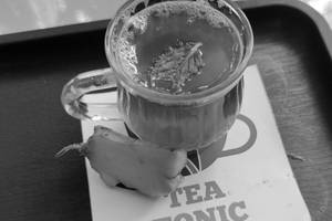 Ginger lemon honey black tea